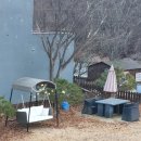 비다펠리스 이미지