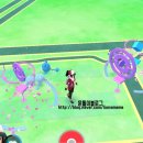 커낼워크 봄동 이미지