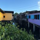 새벽항구 | 보홀 시키호르섬 가기 타빌라란 항구 앞 1박 트래블비 솔직후기