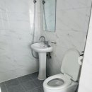 비비오네 이미지