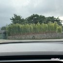 로텔 | 제주도 엠버퓨어힐 로텔 & 리조트 힐파인 더블룸1박2일 내돈내산