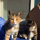 화원삼거리 이미지