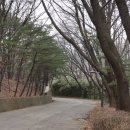 월례근린공원 이미지