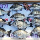 현대낚시 | 통영배낚시 제대로 즐기고 싶다면 통영낚시배 현대레저낚시 후기