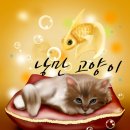 낭만고양이 네이버블로그