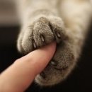 가온누리마켓 이미지