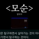 쓰담쓰다