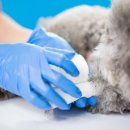 호평동물병원 이미지