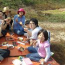 팔형제 농장 이미지