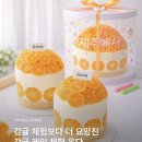 세포마을 | [제주도/케이크만들기] 감귤나라 세포들 후기