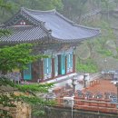 마마스테이 이미지