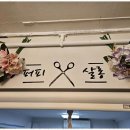 퍼피살롱 이미지