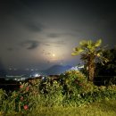 노이하우스 이미지