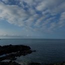 아인스안경 | 지금까지 머했냐면요...(7-11월)