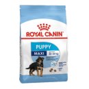 로얄퍼피 이미지