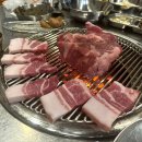 탄통제주돼지 이미지