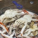 꽃게가찜했어 | [꽃게가찜했어] 제주시 꽃게찜 맛집/도민추천