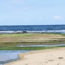 아야진옛1길 | 고성 펜션 추위가 사르륵!