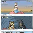 조아요