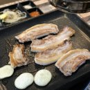 돼지세끼 이미지