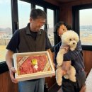 소래축산 | 환갑잔치 이벤트 준비하기 (현수막/용돈 이벤트/인천 서구 한우/앙금 꽃 케이크)