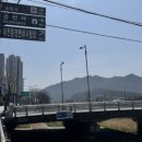 따따면허