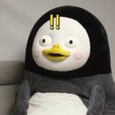 드비니에 네이버블로그