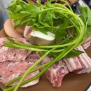 세븐충주연수본점 | 충주 촌김치본점ㅣ연수동 삼겹살과 김치가 맛있는 고기맛집 추천