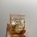 별하수 | 진하게 우러나는 구수한 맛 별하수 보리차농축액 후기
