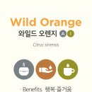 하늘빛 정신건강의학과 의원 이미지