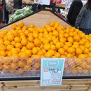 상주농협 하나로마트(1층) | 🛒 광주 북구 장보기 추천! 북광주농협 하나로마트 로컬푸드 직매장 방문 후기