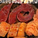 환성관광여행사 이미지