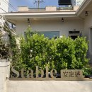 써니스테이블 이미지