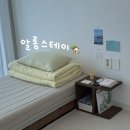 여성정보하우스 | [제주] 북촌리 여성전용 게스트하우스 알롱스테이 1인실, 4인실 상세 후기