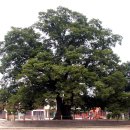 한재초등학교 이미지