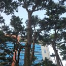 거제시립장평도서관 | 거제 장평 시립도서관 공원