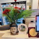 대박국수집 | 숭의동 베트남 쌀국수 맛집 포친, 현지 감성 가득한 쌀국수집 후기