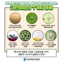 그린마크로 티스토리