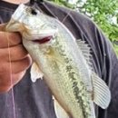 봉구스밥버거 아산터미널점 이미지