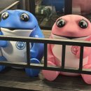 162숙성육 서초담 이미지
