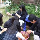 해남고등학교 이미지