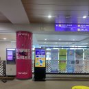 하이원카서비스 | 정선 하이원 운탄고도 케이블카 주차/셔틀버스/할인정보/소요시간/먹거리 정보