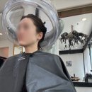 디어드헤어 분당미금점 | 미금역미용실 메이원헤어 가람 디자이너 수분 단백질 클리닉 후기 (ft. 분당헤어컨설팅)