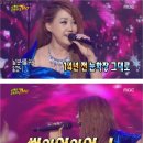 토토가보다 더 뜨거웠던 2014 청춘나이트 콘서트 후기~