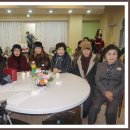 강신성일 카카오 검색결과