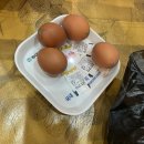 24시해수사우나 찜질방 이미지