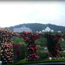 장미농원 이미지