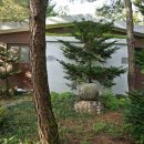 장풍숲화장실 이미지