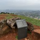 동굴에 평화의 동백이 이미지