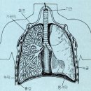 위드뮤직실용음악학원 이미지